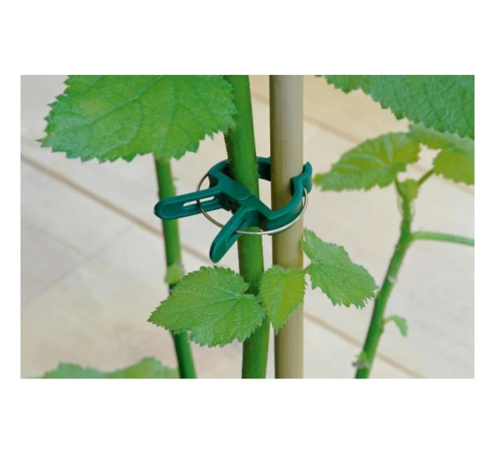 SPONKY NA RASTLINY 20KS KINZO SPONKY NA RASTLINY 20KS KINZO