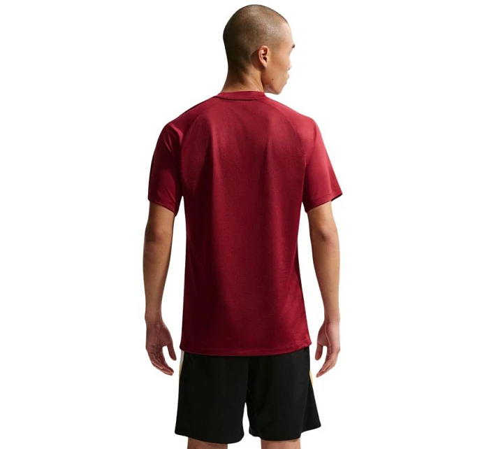 DriFit Park VIII pánské tričko bordó  pánské model 21910905 - NIKE