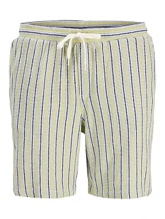 pánské pruhované šortky   SHORTS SN TEA/S model 22199553 - Jack&Jones