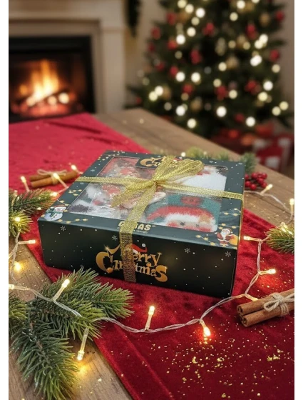 Cosas ponožky Vánoční box 3542 model 21777364 - WiK