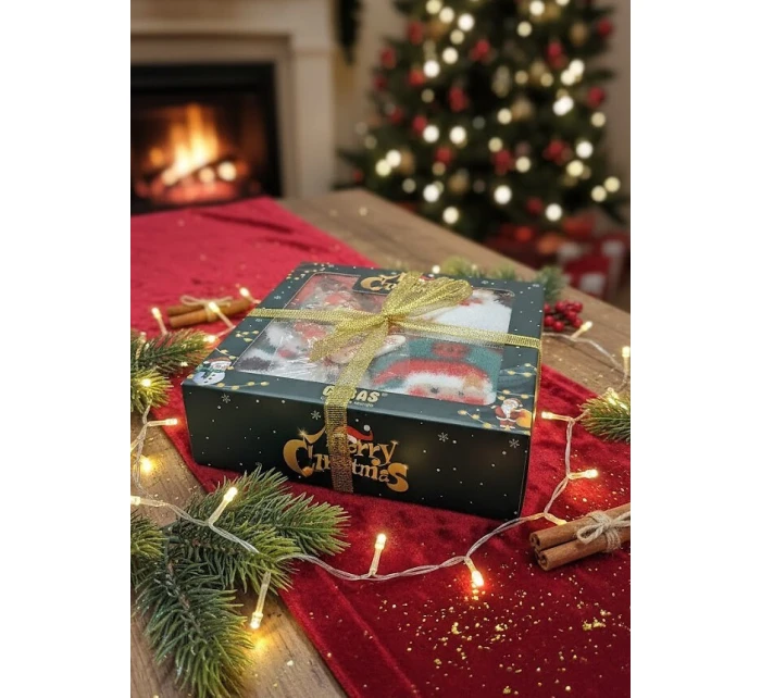 Cosas ponožky Vánoční box 3542 model 21777364 - WiK