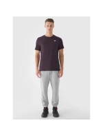 Pánské bavlněné tričko model 21433476 pánské - 4F Pánské bavlněné tričko model 21433476 pánské - 4F