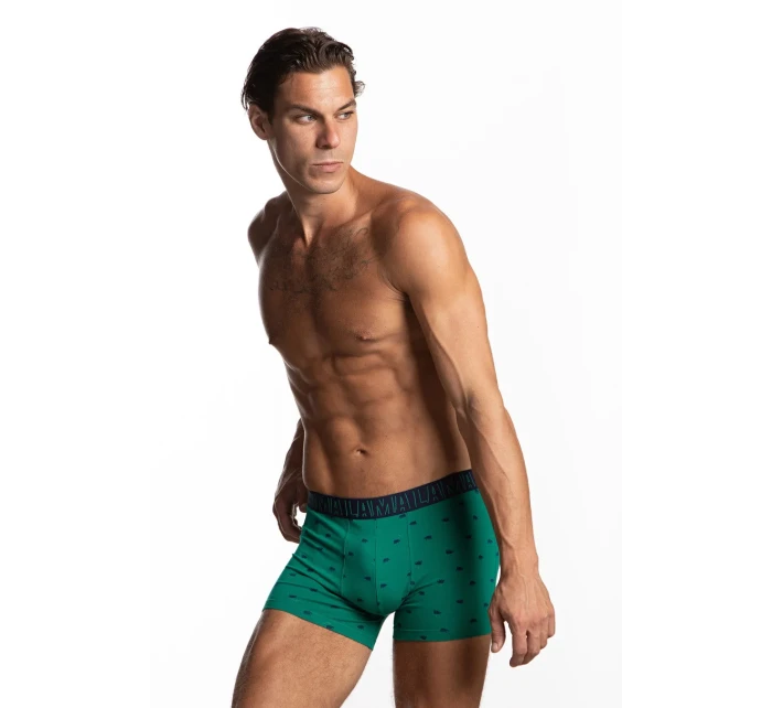 Pánske šortky M-1056SZG 2-pack