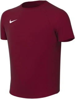 Detské tričko Nike Dri-Fit Park VIII burgundy HV8182 677
