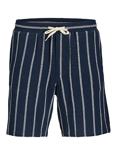 pánské pruhované šortky   SHORTS SN SN SKY CAPTAIN/S model 22199547 - Jack&Jones