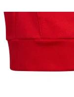 Mikina adidas Colorblock Fleece Hoodie Jr HC5657 Mikina adidas Colorblock Fleece Hoodie Jr HC5657