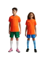 Nike Dri-Fit Park VIII Detské tričko oranžová HV8182 819