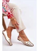 model 21611246 Pohodlné Dámské Kožené Baletky Zlaté - Zazoo