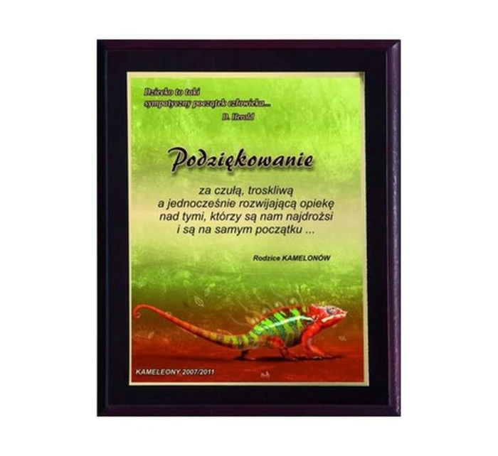 Plastový diplom s farebným dotykovým laminátom