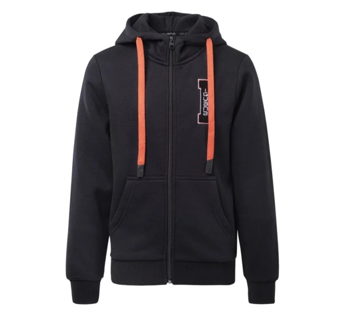 Bluza  Jr model 20503738 - Iguana
