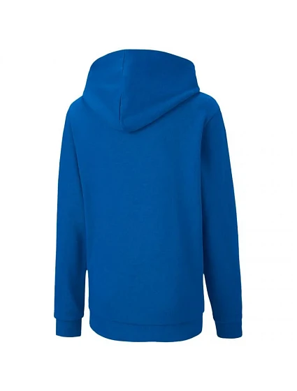 Dětská mikina teamGOAL 23 Casuals Jr model 16171404 02 - Puma