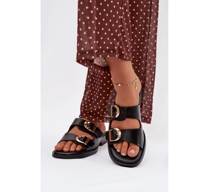 Dámské pantofle se zlatými sponami Černé Danelle