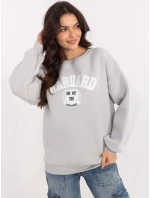 Mikina EM BL 617 model 20825882 šedá - FPrice