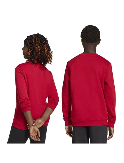 Dětská mikina Entrada 26 Sweat Top červená model 22055025 - ADIDAS