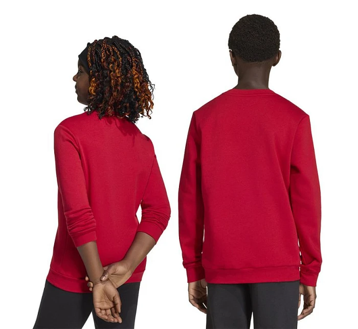 Dětská mikina Entrada 26 Sweat Top červená model 22055025 - ADIDAS Dětská mikina Entrada 26 Sweat Top červená model 22055025 - ADIDAS