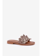 Dámské pantofle na plochém podpatku model 22014107 Taupe Zazoo - ZOiO Dámské pantofle na plochém podpatku model 22014107 Taupe Zazoo - ZOiO