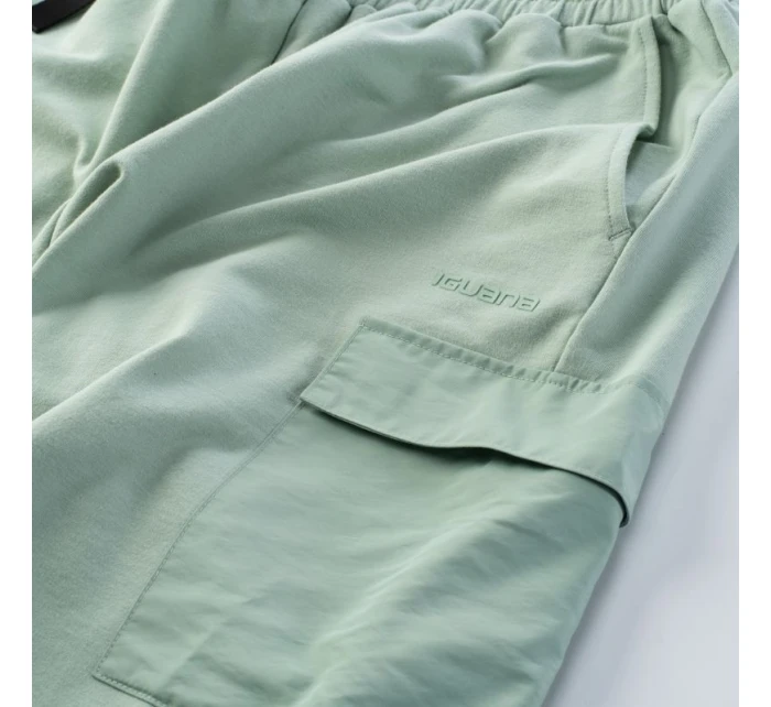 Pánské šortky model 21357253 - Iguana