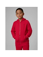 Chlapecká mikina s kapucí model 22135730 dětské - 4F