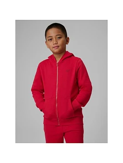 Chlapecká mikina s kapucí model 22135730 dětské - 4F