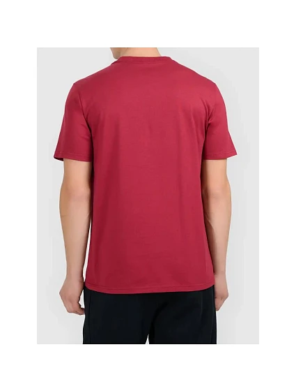 Tshirt z nadrukiem męski model 22560048 - 4F Tshirt z nadrukiem męski model 22560048 - 4F