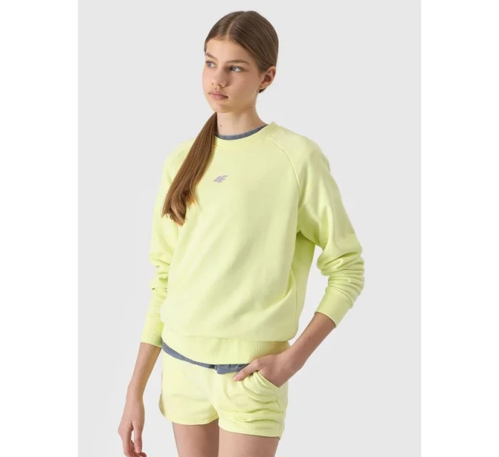 Mikina Jr model 19912489 - 4F