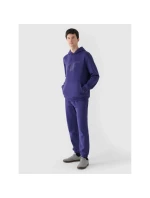 Pánská mikina s kapucí s model 21437394 - 4F Pánská mikina s kapucí s model 21437394 - 4F