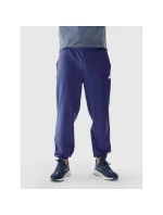 Teplákové kalhoty M model 21426061 - 4F Teplákové kalhoty M model 21426061 - 4F