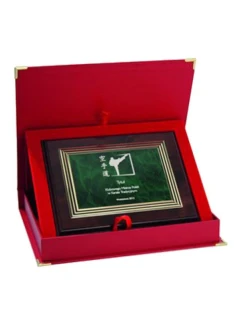 Dyplom z tworzywa sztucznego z grawerem na  + model 21829342