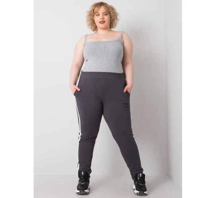 Tepláky RV DR 6643.95 grafit