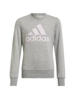 Dievčenské nohavice Big Logo Swt Jr HM8706 - Adidas