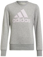 Dievčenské nohavice Big Logo Swt Jr HM8706 - Adidas