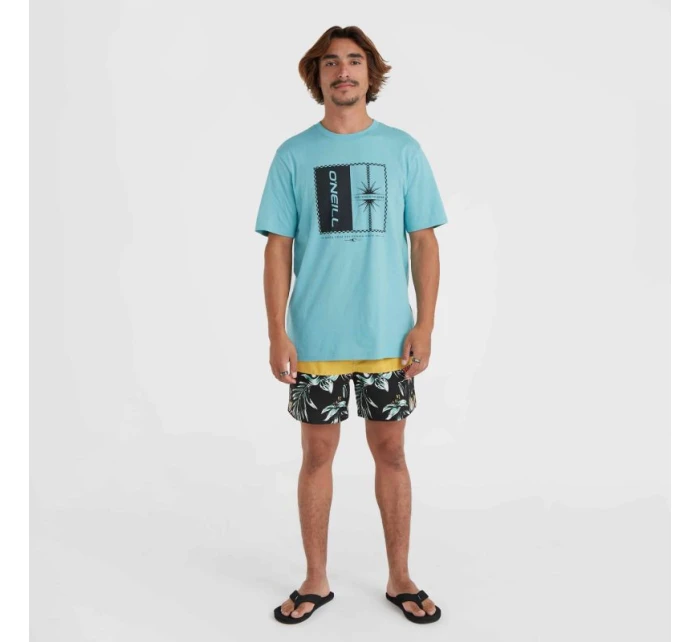 Plavecké šortky O'Neill Cali Block M model 20080403 - ONeill