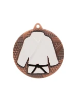 Bronzová medaila v džude/karate