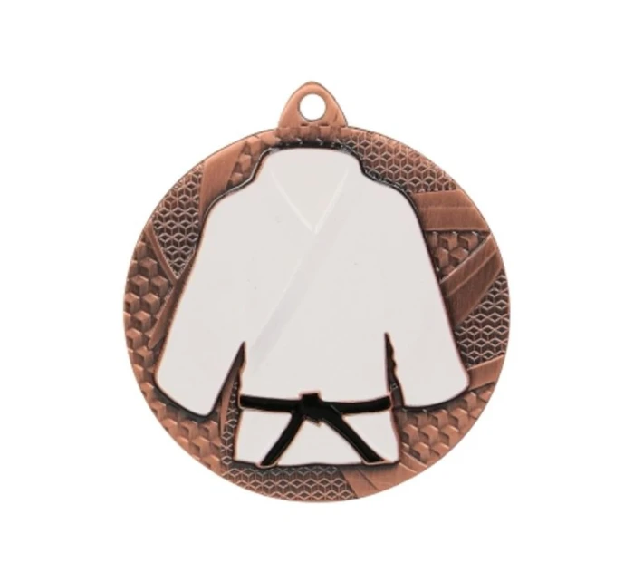 Bronzová medaila v džude/karate