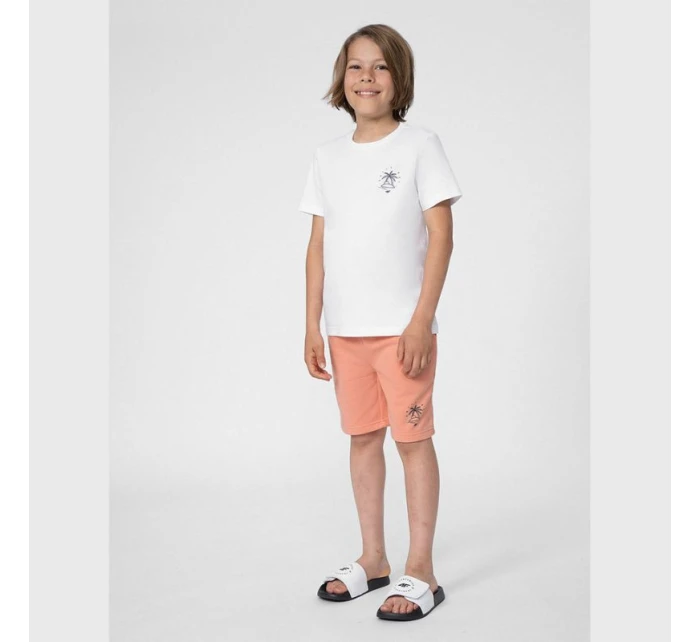 Chlapčenské juniorské šortky 4FJSS23TSHOM047 64S - 4F Chlapčenské juniorské šortky 4FJSS23TSHOM047 64S - 4F