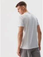 Pánské sportovní rychleschnoucí šortky 4F - šedé Pánské sportovní rychleschnoucí šortky 4F - šedé