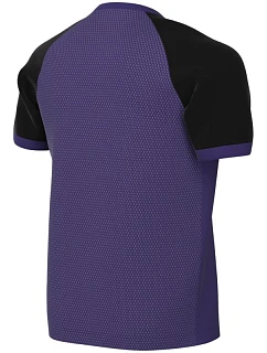 Dětské tričko Nike DriFIT Trophy model 22318133 - Nike Team