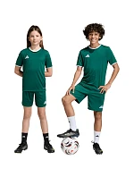 Detské šortky adidas Entrada 26 green KE9831