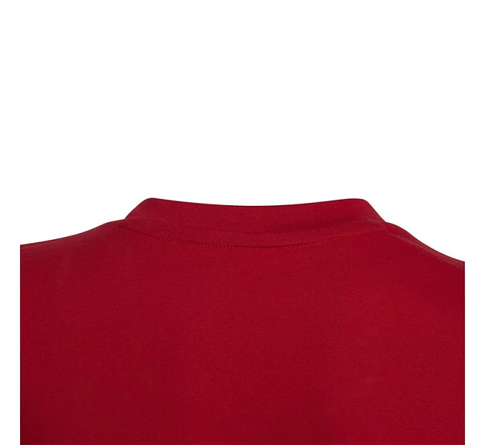 Entrada 22 Jr kids tričko HC0446 - Adidas