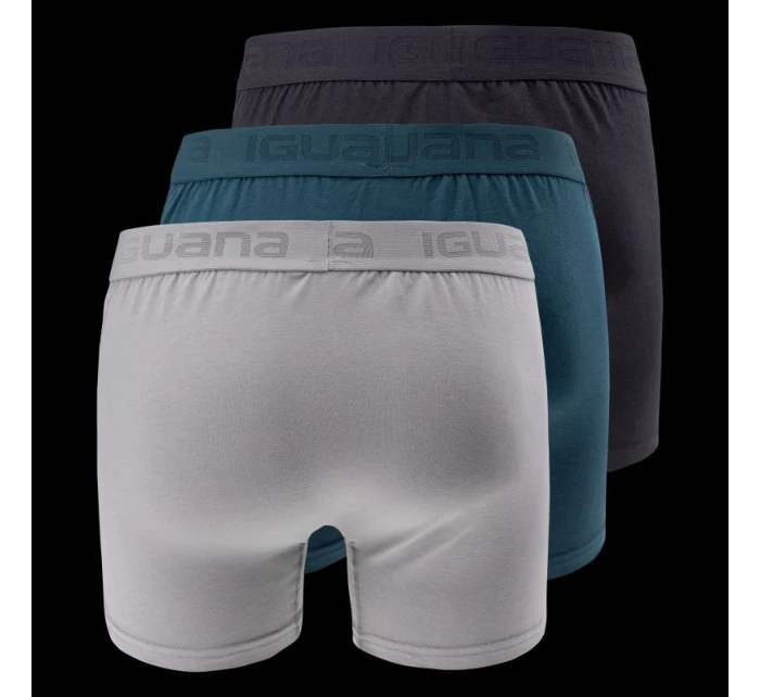 Pánské boxerky model 21352721 3PACK - Iguana