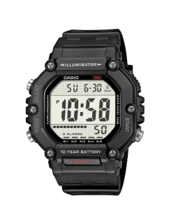 Pánské hodinky model 21806681 + krabice - CASIO