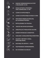 Coccine Nano Deo Silver Odświeżacz do Butów 150ml