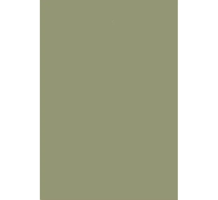 Dámské ponožky model 17766590 - Steven Dámské ponožky model 17766590 - Steven