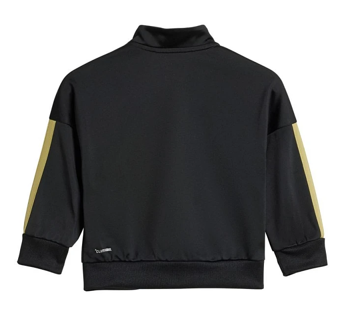 Detské tepláky adidas Essentials Climacool black and gold JC8857