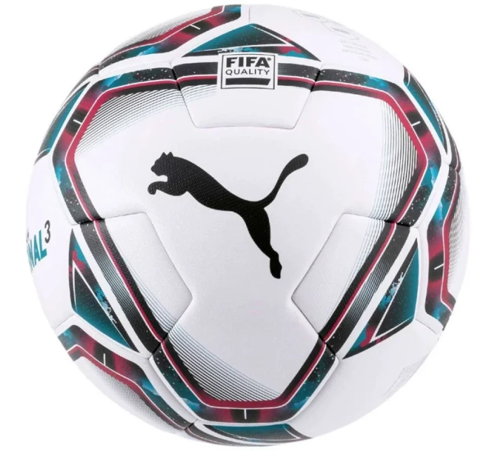 Puma teamFINAL 21.3 Fifa Quality Ball 083306 01