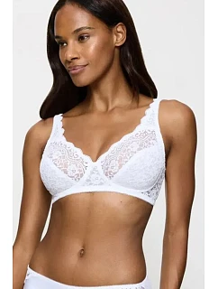 Soft model 229496 Triumph