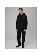 Bluza regular z kapturem męska |  pánské model 22551937 - 4F