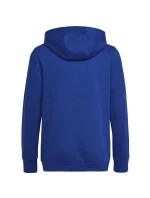 Dětská mikina Big Logo Essentials Hoody Jr HN1912 - Adidas