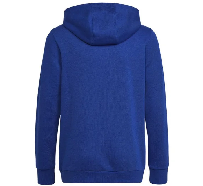 Dětská mikina Big Logo Essentials Hoody Jr HN1912 - Adidas