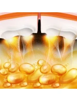 S  A +  model 21810696 - HMS